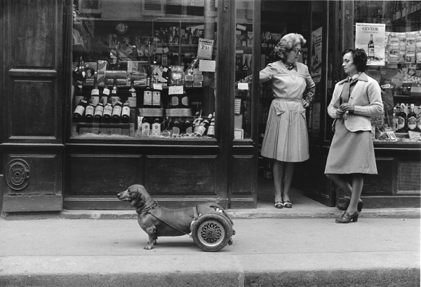 Robert Doisneau, Le Chien a Roulettes, 1977