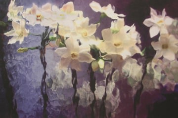 Lillian Bassman, Flower 14 (White Narcissus), 2006