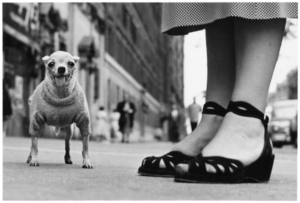 Elliott Erwitt New York City, USA, c. 1950
