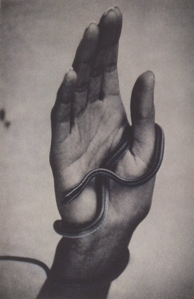 Sheila Metzner, Hand with Snake. 1994