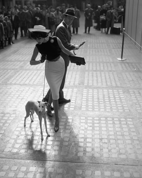 William Helburn, Simone D&rsquo;Aillencourt with Whippet, Penn Station, 1959
