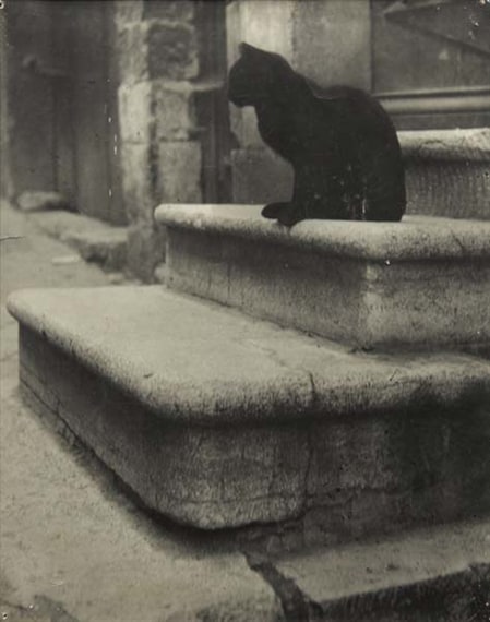 Brassai, Black Cat, 1950