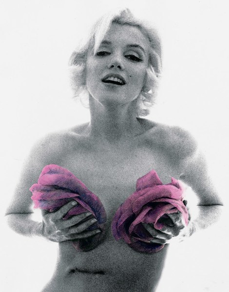 Marilyn Monroe, &ldquo;The Last Sitting&rdquo;,&nbsp;With Roses, Violet Tint