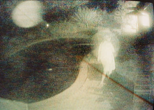 Kali, Kali with Orbs, Pacific Palisades, CA, 2004