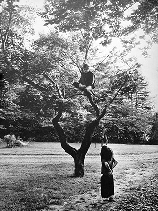 Bob Dylan Sitting in Tree with Child Watching, Woodstock 1964