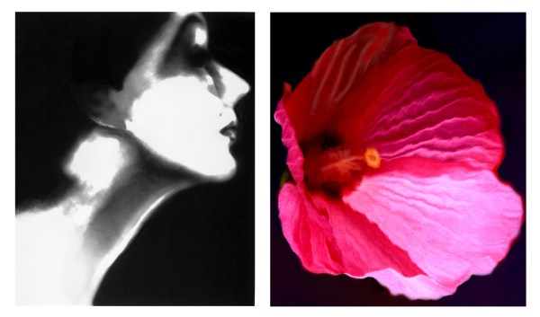 Lillian Bassman, Lisa Fonssagrives, Harper&rsquo;s Bazaar, circa 1950 Flower 28 (Pink Mallow), 2006