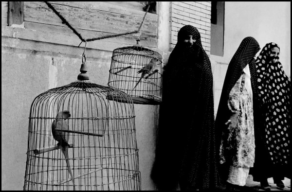 Inge Morath, Veiled Muslim women and caged cockatoos, Shiraz, Iran,