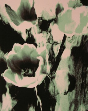 Lillian Bassman, Flower 3 (Green Tulips), 2006