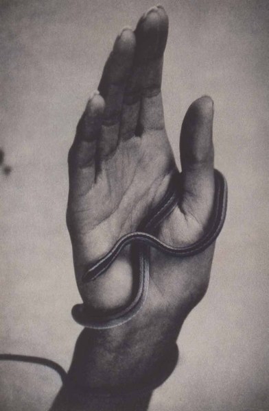 Sheila Metzner, Hand with Snake. 1994.