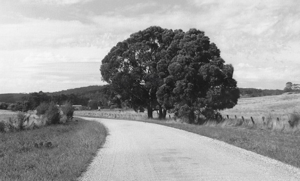 Kurt Markus&nbsp;, Australia, 1990