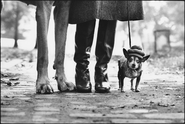 Elliott Erwitt, New York City (Dog Legs), 1974