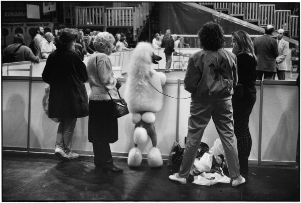 Elliott Erwitt, Birmingham, England, 1991