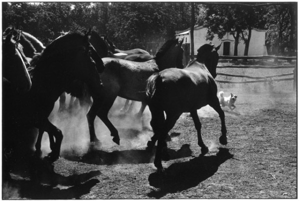 Elliott Erwitt, Argentina, 1972