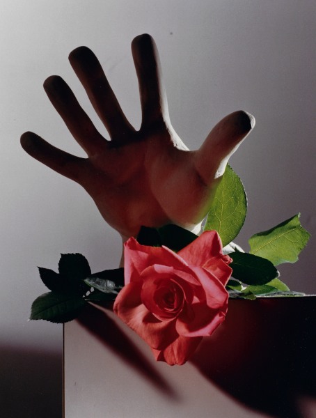 Horst P. Horst, Roses with cast of Michaelangelo Hand, 1985