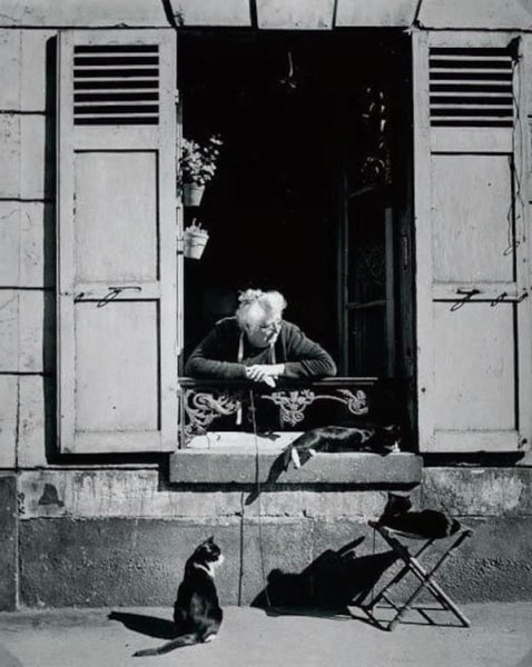 Brassai&nbsp;, Old Woman and Three Cats, 1950&nbsp;