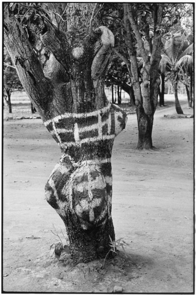 Elliott Erwitt Melbourne, Australia, 1961