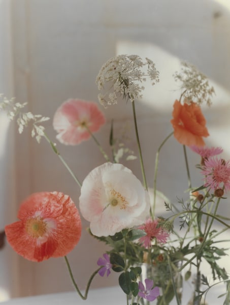 Horst P. Horst&nbsp;, Shirley Poppies, Queen Annes Lace Centaurea,&nbsp;