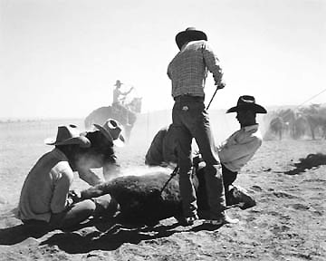 Kurt Markus, Cataract Land and Livestock Co.,  Williams, Arizona, 1981