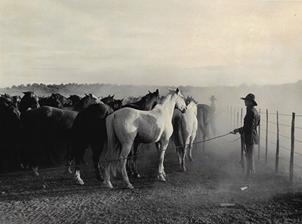Kurt Markus, Oro Ranch, Prescott, AZ, 1983