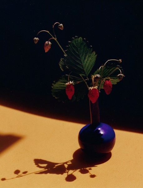 Horst, Strawberries in Blue Vase