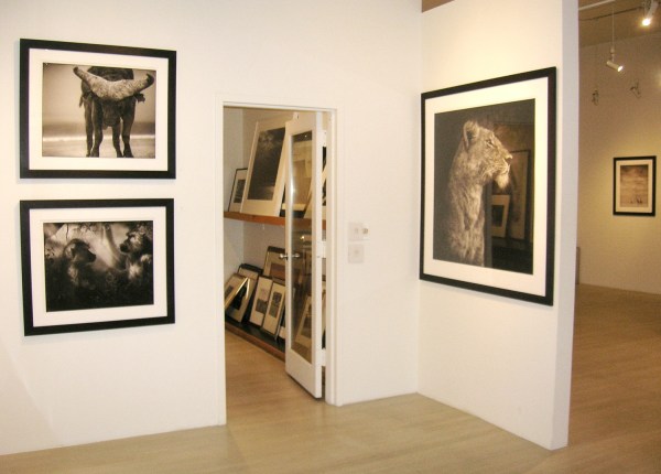 Nick Brandt, Exhibition View