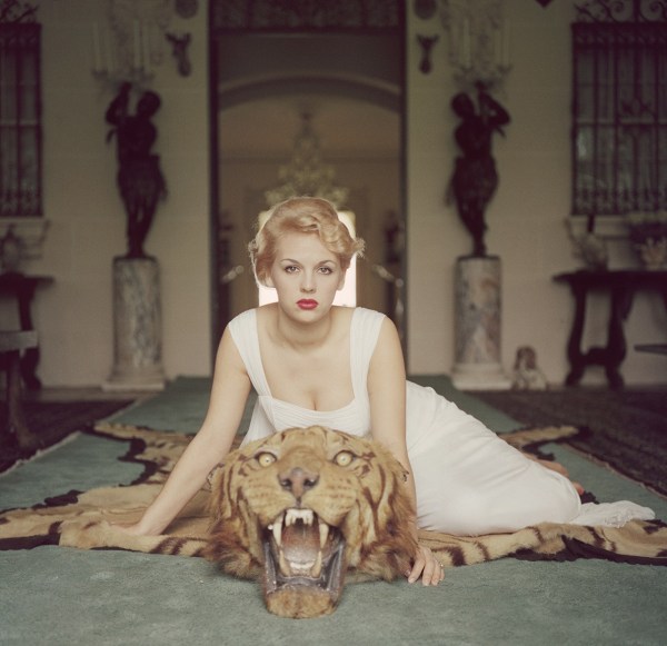 Slim Aarons, Beauty And The Beast, 1959: Lady Daphne Cameron (Mrs. George Cameron) on a tiger skin rug in the trophy room at socialite Laddie Sanford's home, Palm Beach