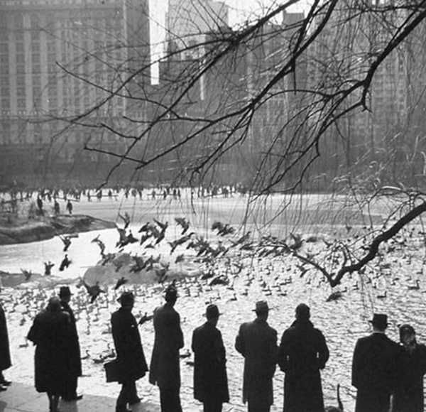 Andreas Feininger, Central Park, 1943