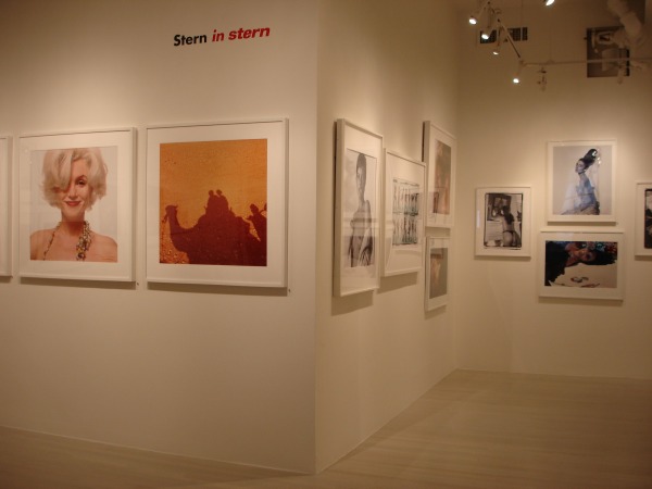 Bert Stern, Exhibition View