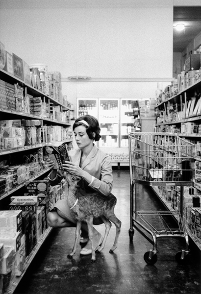 Bob Willoughby, Audrey Hepburn with Pippin, Beverly Hills, CA, 1958