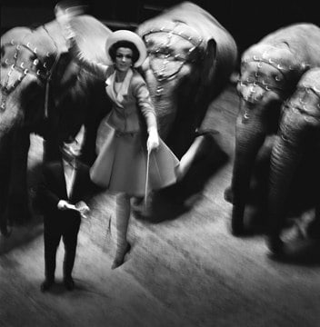 Melvin Sokolsky, Fly Elephants, Paris, 1965