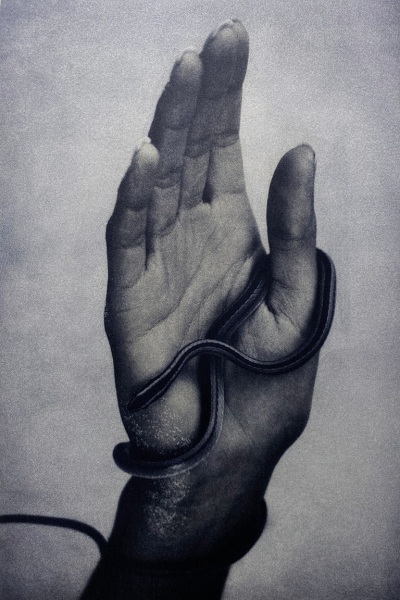 Sheila Metzner, Hand with Snake, 1994