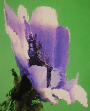 Lillian Bassman, Flower 34 (Purple Blossom on Green), 2006