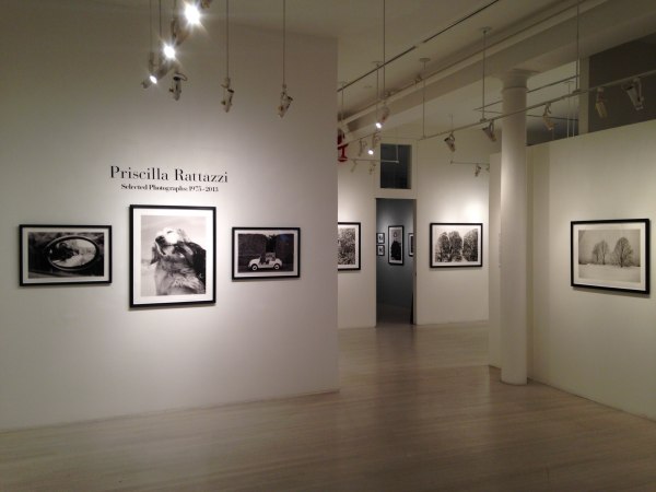 Priscilla Rattazzi, Exhibition View