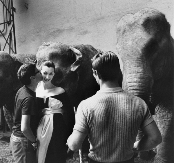 Sam Shaw, Richard Avedon and Dovima, Cirque d&rsquo;Hiver, Paris, 1955