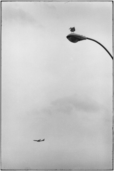 Elliott Erwitt Coney Island, New York, USA, 1975