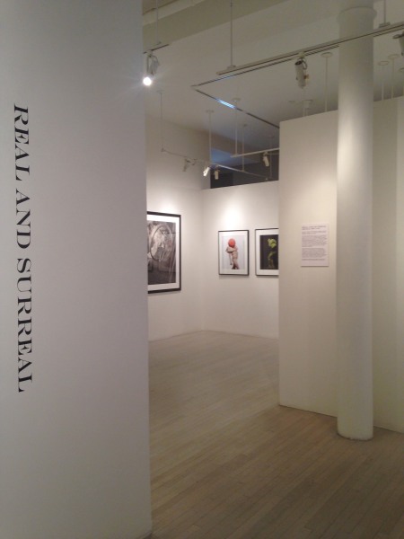 Real and Surreal, Exhibition View