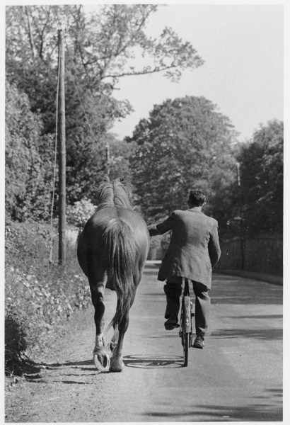 Elliott Erwitt Ireland, 1962