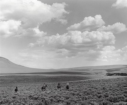 Kurt Markus, Whitehorse Ranch Fields, OR, 1984