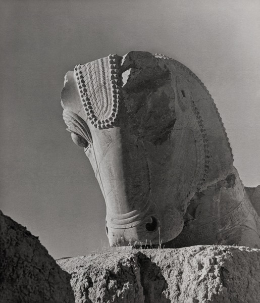 Horst P. Horst, Persepolis Bull, Iran, 1949