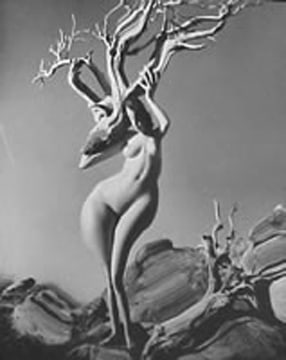 Andre de Dienes, Abstract Nude, Late 1960s