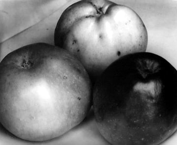 Edward Steichen, Three Apples, France, 1921