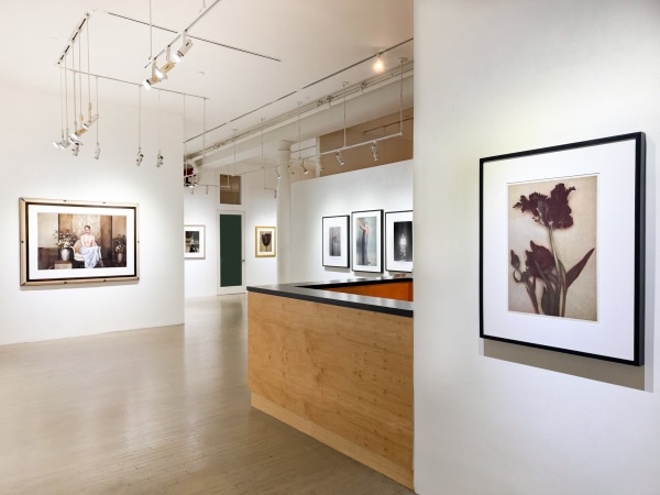 &nbsp;, Installation view