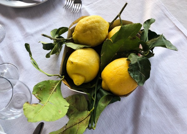 Pamela Hanson, Lemons, Salerno, 2018