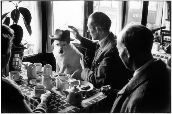 Elliott Erwitt, Brussels, Belgium, 1957