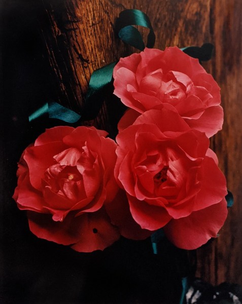 Horst, Three Roses, c. 1985