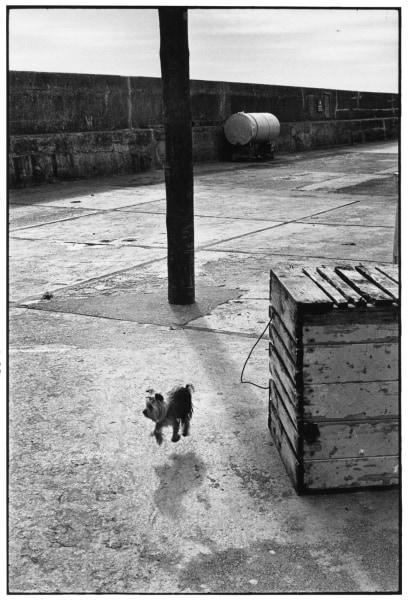 Elliott Erwitt, Ballycotton, Ireland, 1968