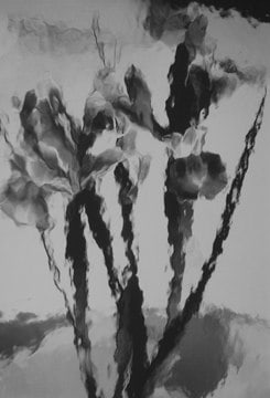 Lillian Bassman, Flower 15 (Irises), 2006