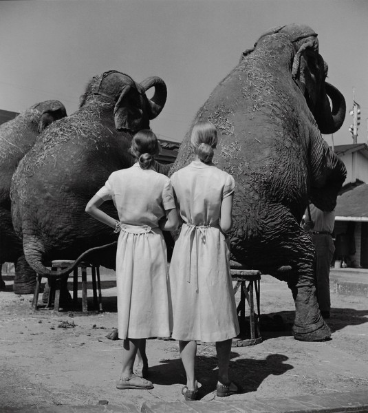 Louise Dahl-Wolfe, Twins with Elephants, c. 1945