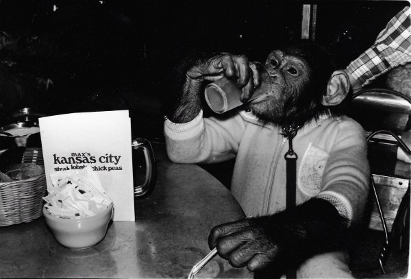 Anton Perich, Monkey in Max&rsquo;s, Kansas City
