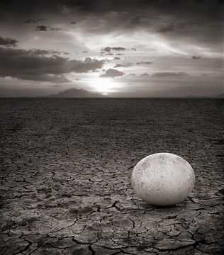 Nick Brandt, Abandoned Ostrich Egg, Amboseli, 2007